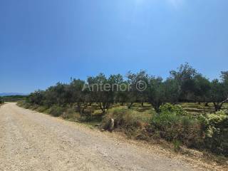 Građevinsko zemljište, Prodaja, Vrsi, Mulo