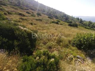 Poljoprivredno zemljište, Prodaja, Hvar, Sveta Nedjelja