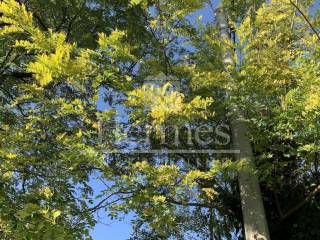 Gradjevinsko zemljiste, Prodaja, Zagreb, Stenjevec