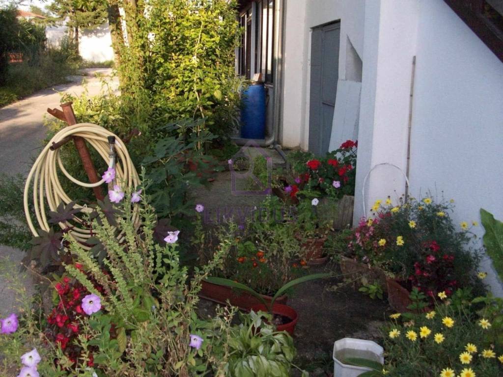 Apartmanska kuća, Prodaja, Umag, Zambratija