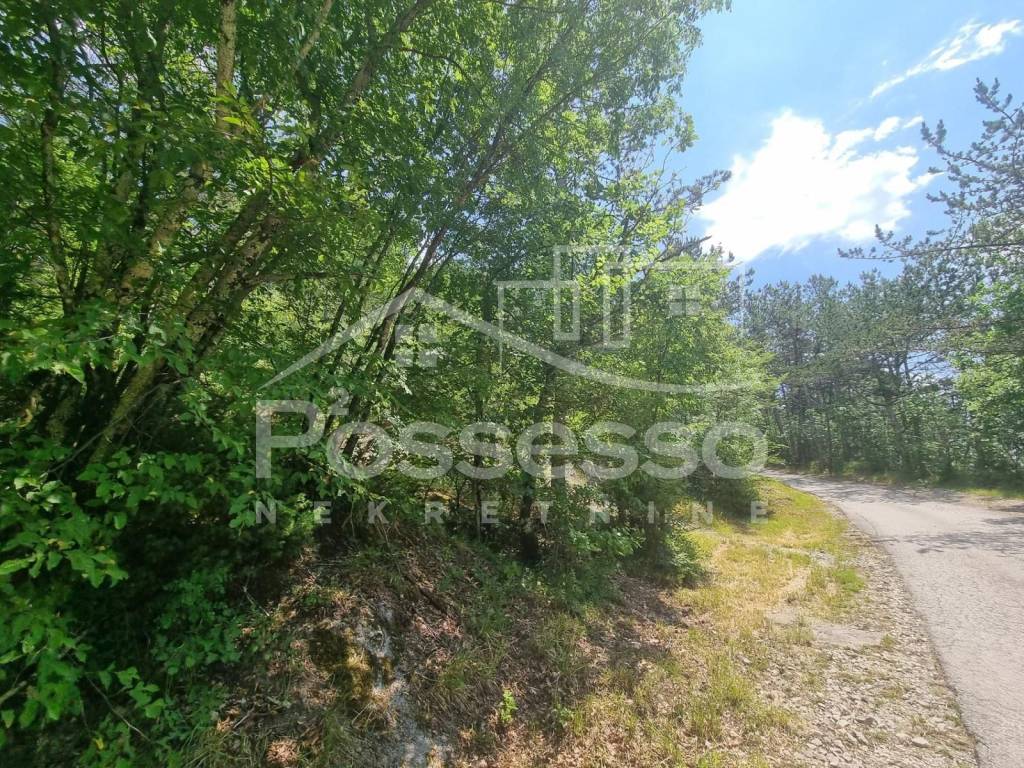 Buzet, Hum