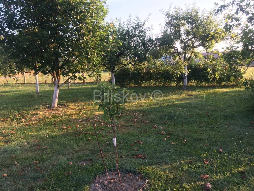 Samostojeća kuća, Prodaja, Sveta Nedelja, Mala Gorica