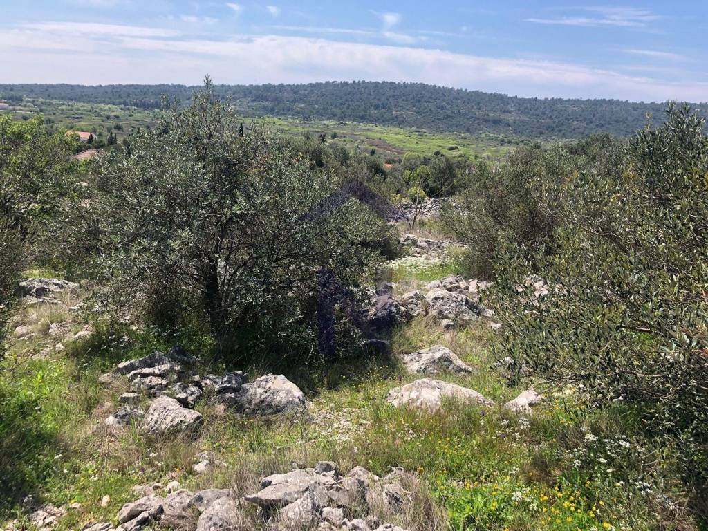 Građevinsko zemljište, Prodaja, Šolta, Grohote