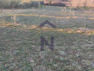 Poljoprivredno zemljište, Prodaja, Novigrad, Pridraga