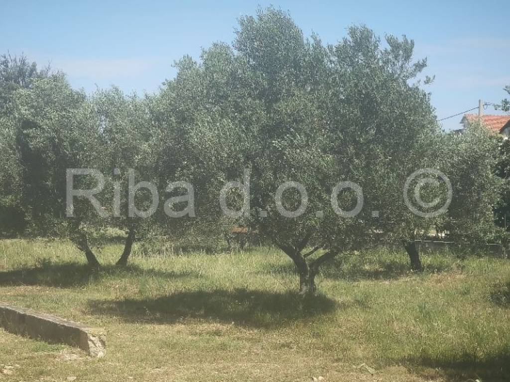 Građevinsko zemljište, Prodaja, Sukošan, Sukošan