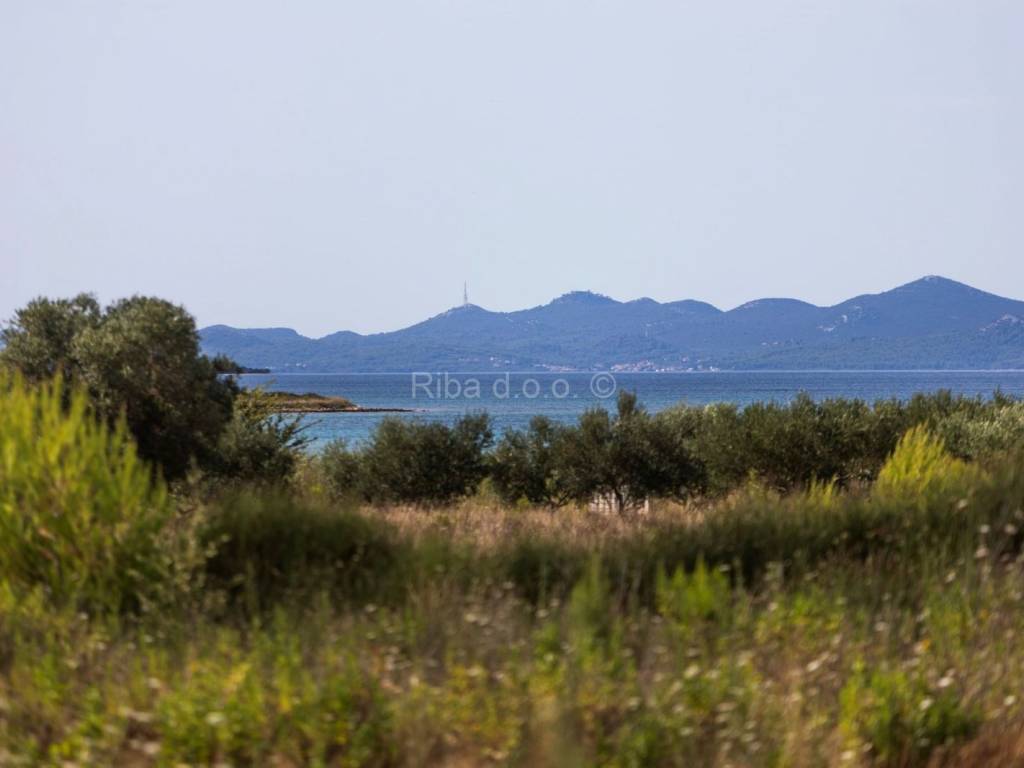 Apartman s okucnicom, Prodaja, Privlaka, Privlaka