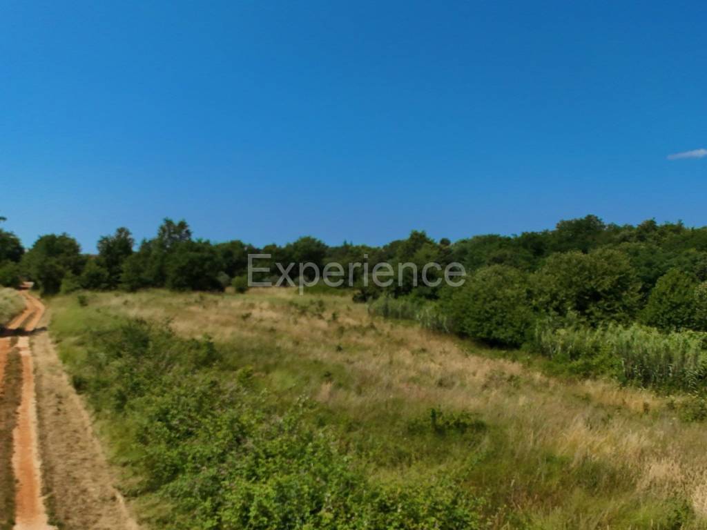 Poljoprivredno zemljište, Prodaja, Kaštelir-Labinci, Kaštelir