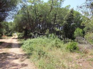 Građevinsko zemljište, Prodaja, Vir, Vir