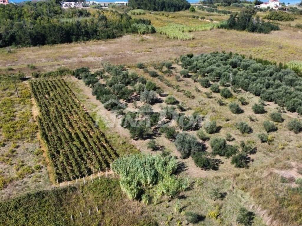Poljoprivredno zemljište, Prodaja, Privlaka, Privlaka