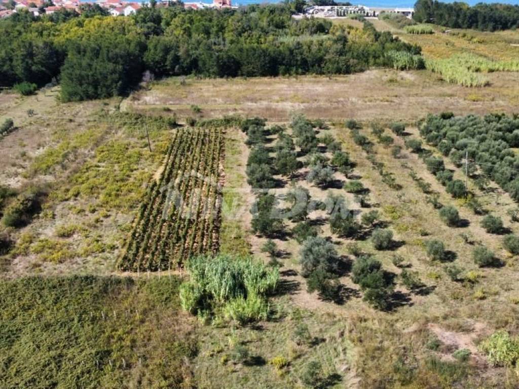 Poljoprivredno zemljište, Prodaja, Privlaka, Privlaka