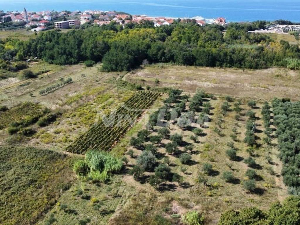 Poljoprivredno zemljište, Prodaja, Privlaka, Privlaka
