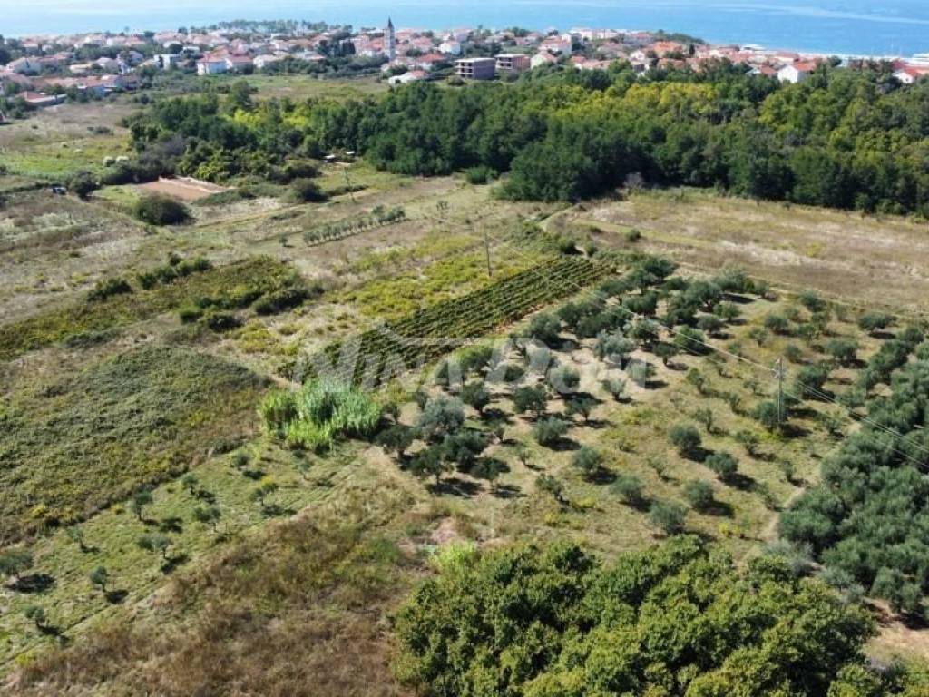 Poljoprivredno zemljište, Prodaja, Privlaka, Privlaka