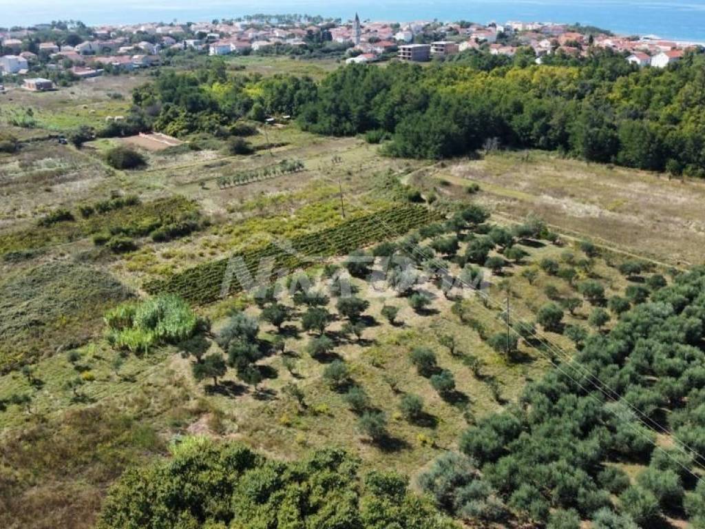 Poljoprivredno zemljište, Prodaja, Privlaka, Privlaka