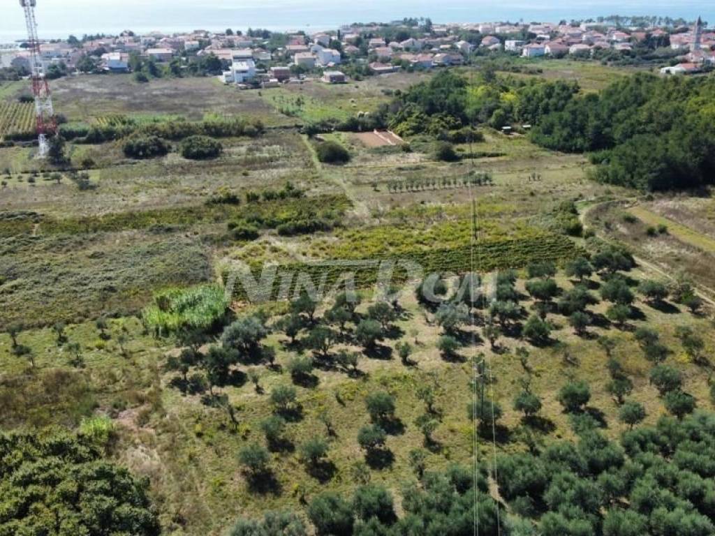 Poljoprivredno zemljište, Prodaja, Privlaka, Privlaka