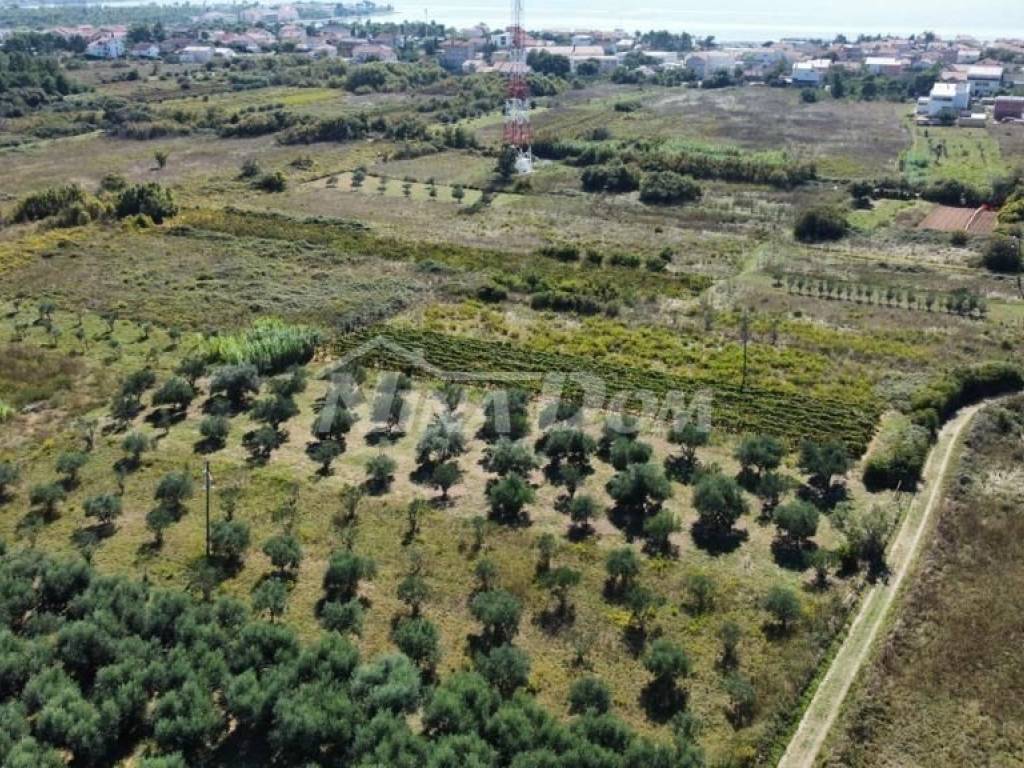 Poljoprivredno zemljište, Prodaja, Privlaka, Privlaka
