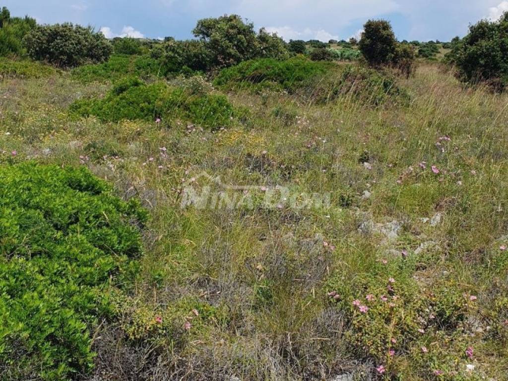 Poljoprivredno zemljište, Prodaja, Vir, Vir