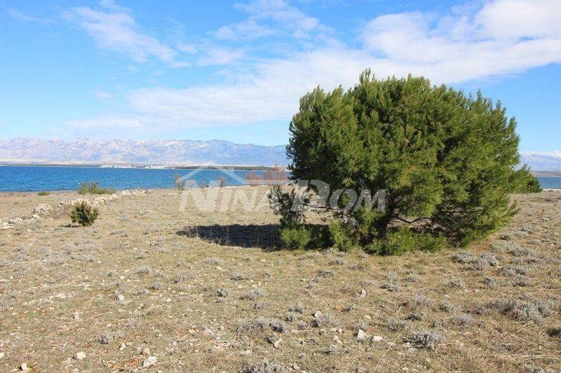 Poljoprivredno zemljište, Prodaja, Vir, Vir