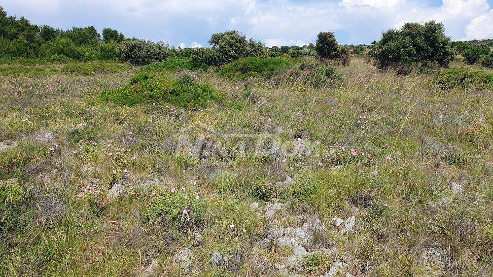 Poljoprivredno zemljište, Prodaja, Vir, Vir