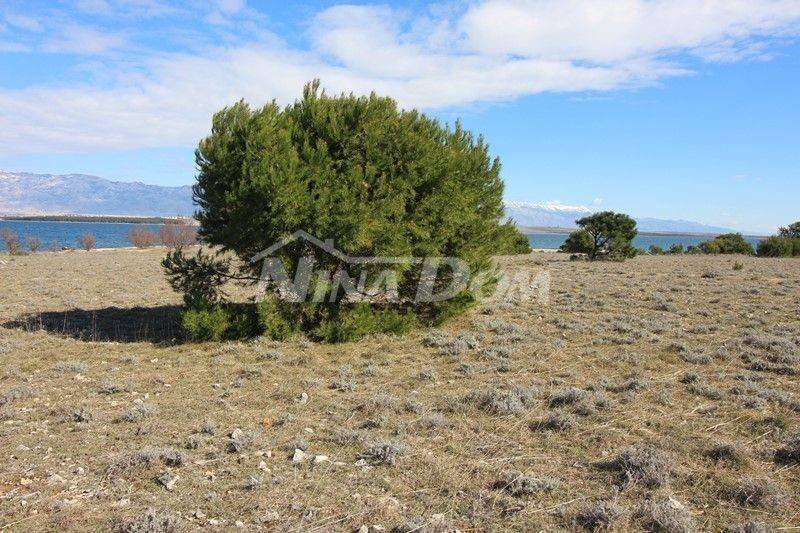 Poljoprivredno zemljište, Prodaja, Vir, Vir