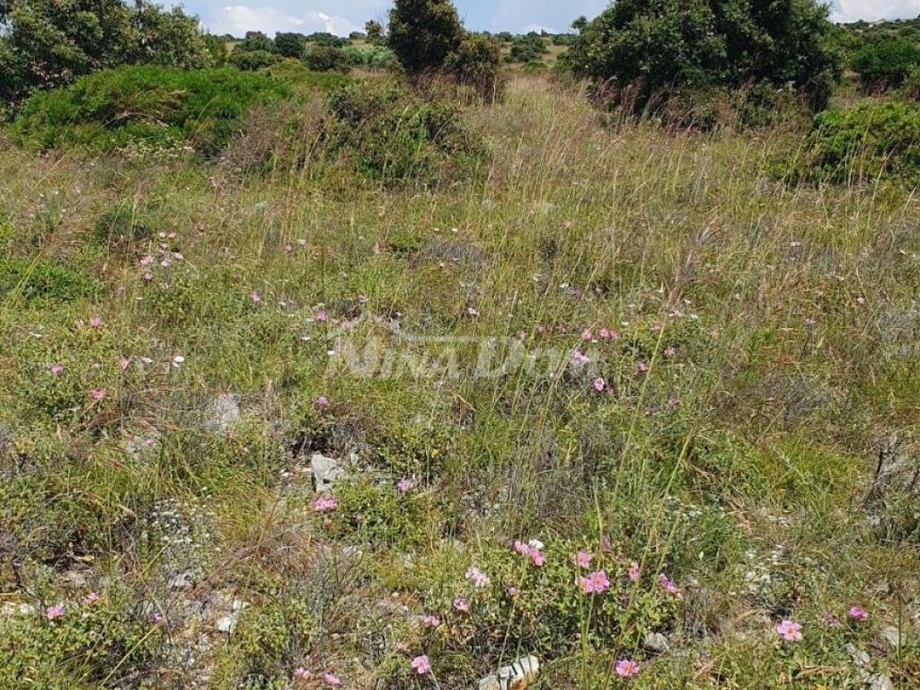 Poljoprivredno zemljište, Prodaja, Vir, Vir