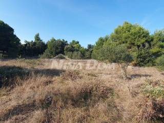 Poljoprivredno zemljište, Prodaja, Vir, Vir