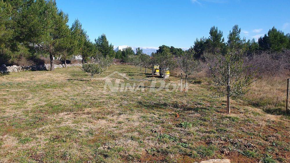 Poljoprivredno zemljište, Prodaja, Vir, Vir