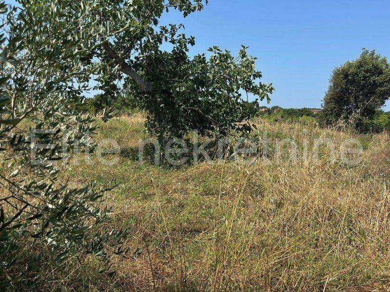 Poljoprivredno zemljište, Prodaja, Ližnjan, Šišan