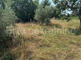 Poljoprivredno zemljište, Prodaja, Ližnjan, Šišan