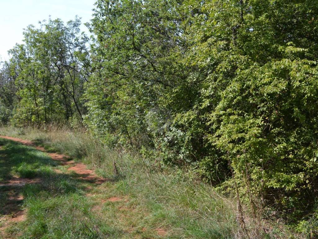 Zemljište, Prodaja, Kaštelir-Labinci