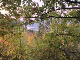 Građevinsko zemljište, Prodaja, Pazin - Okolica, Kršikla