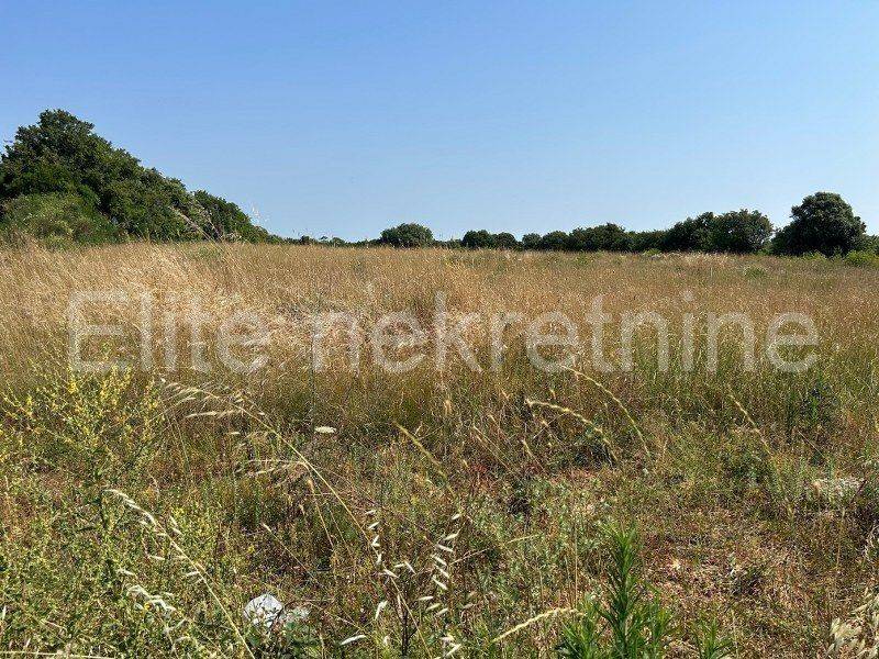 Poljoprivredno zemljište, Prodaja, Ližnjan, Šišan