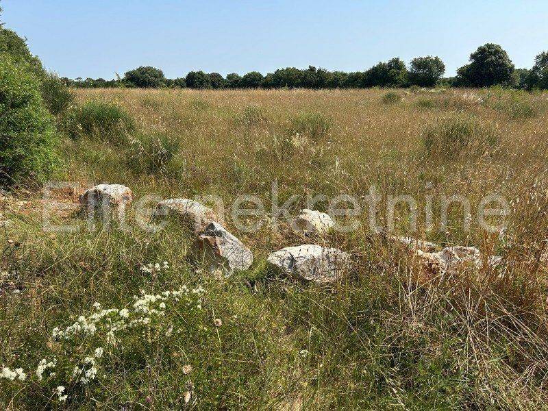 Poljoprivredno zemljište, Prodaja, Ližnjan, Šišan