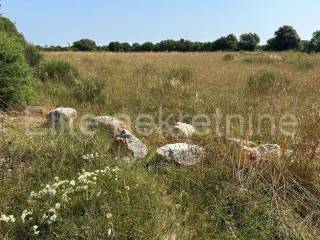 Poljoprivredno zemljište, Prodaja, Ližnjan, Šišan
