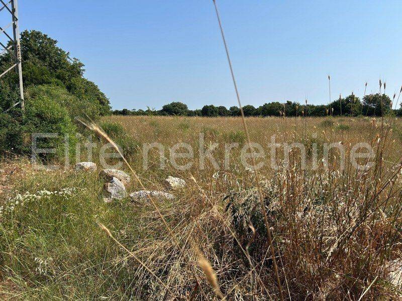 Poljoprivredno zemljište, Prodaja, Ližnjan, Šišan