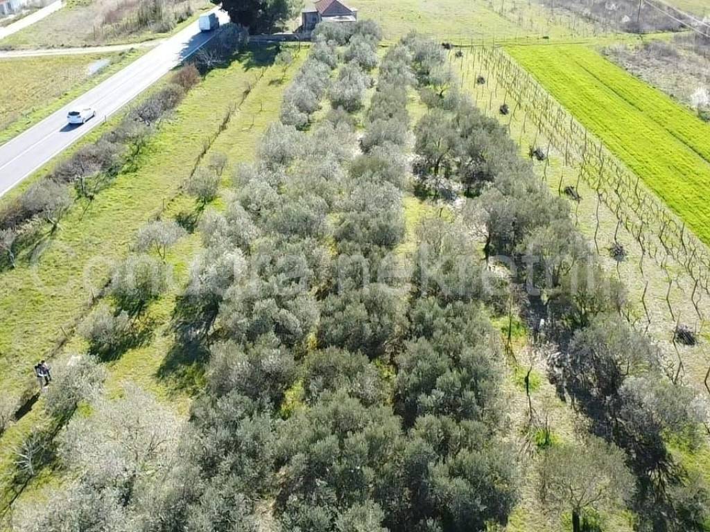 Građevinsko zemljište, Prodaja, Poličnik, Murvica