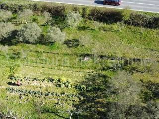 Građevinsko zemljište, Prodaja, Poličnik, Murvica
