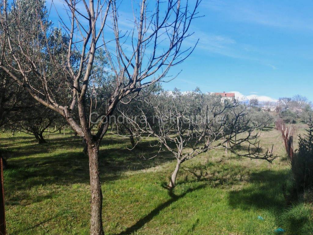 Građevinsko zemljište, Prodaja, Poličnik, Murvica