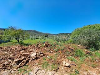 Građevinsko zemljište, Prodaja, Pašman, Dobropoljana