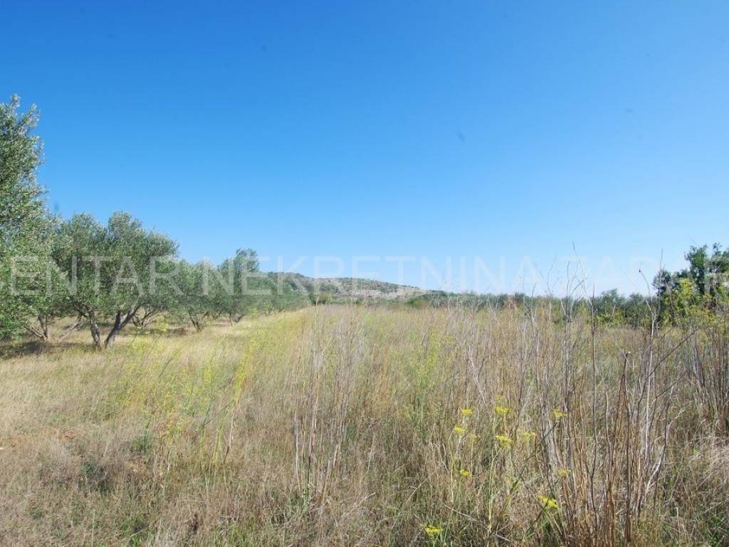 Građevinsko zemljište, Prodaja, Benkovac, Nadin