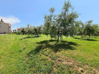 Građevinsko zemljište, Prodaja, Bibinje, Bibinje