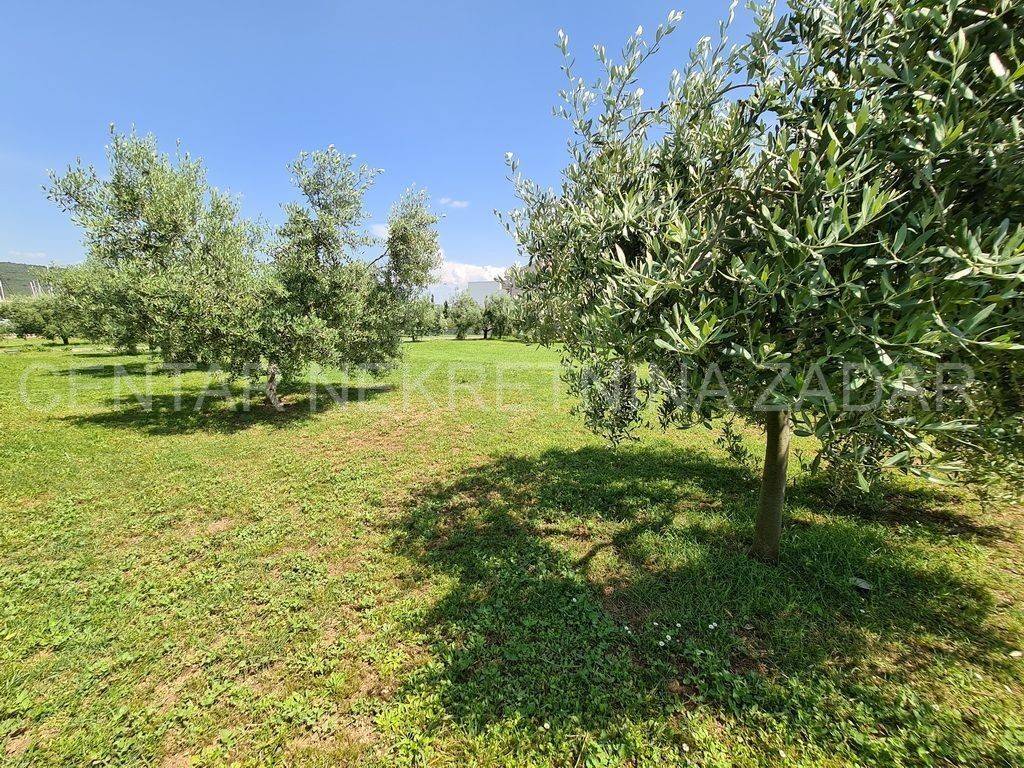 Građevinsko zemljište, Prodaja, Bibinje, Bibinje