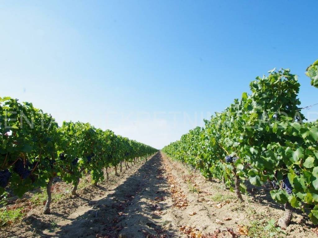 Poljoprivredno zemljište, Prodaja, Benkovac, Nadin