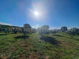 Građevinsko zemljište, Prodaja, Posedarje, Slivnica