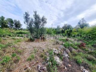 Građevinsko zemljište, Prodaja, Pašman, Banj