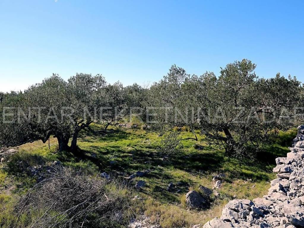 Poljoprivredno zemljište, Prodaja, Tisno, Tisno