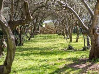 Poljoprivredno zemljište, Prodaja, Tisno, Tisno