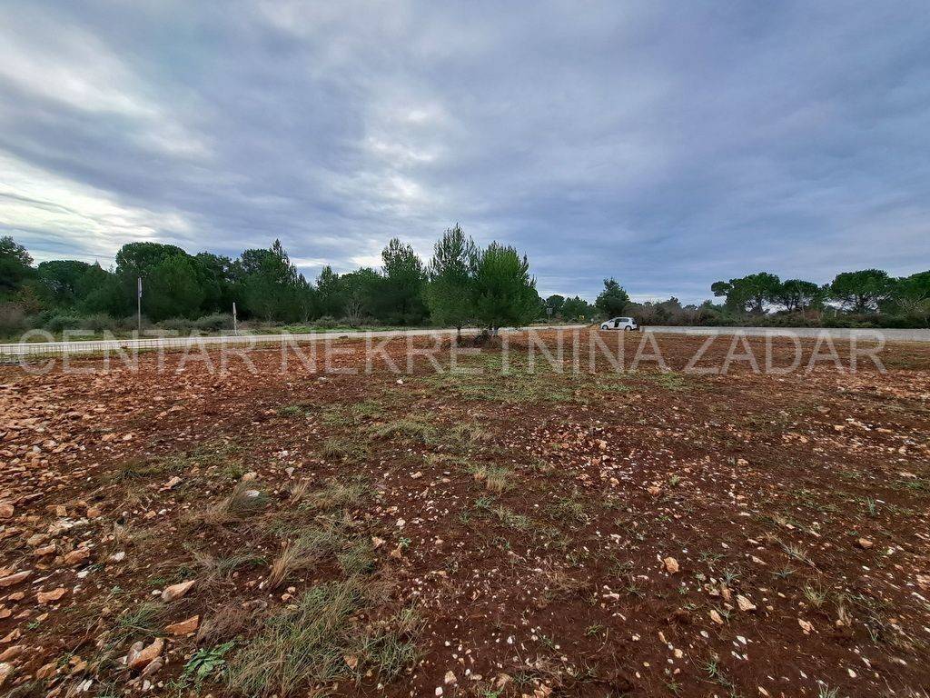 Poljoprivredno zemljište, Zakup, Zadar, Zadar