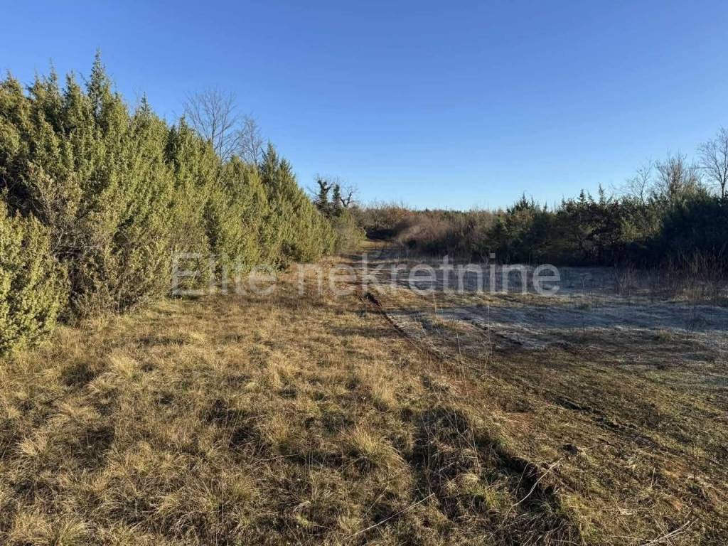 Poljoprivredno zemljište, Prodaja, Svetvinčenat, Juršići