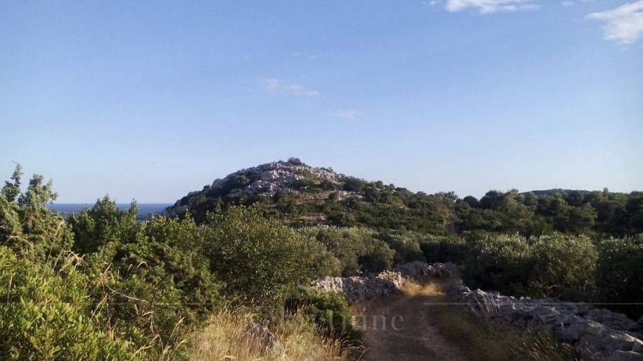Poljoprivredno zemljište, Prodaja, Sali, Sali