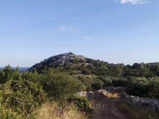 Poljoprivredno zemljište, Prodaja, Sali, Sali